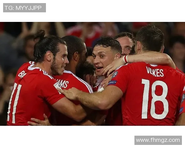 爱尔兰与威尔士足球对决深度分析及战术解析